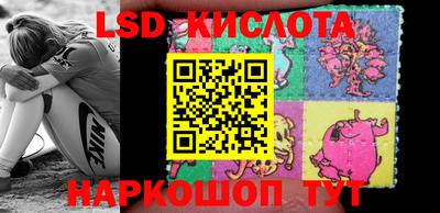 шишки Бузулук